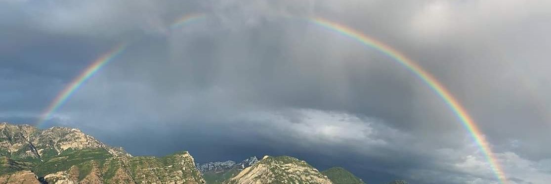 M. Anne ⛈️ banner