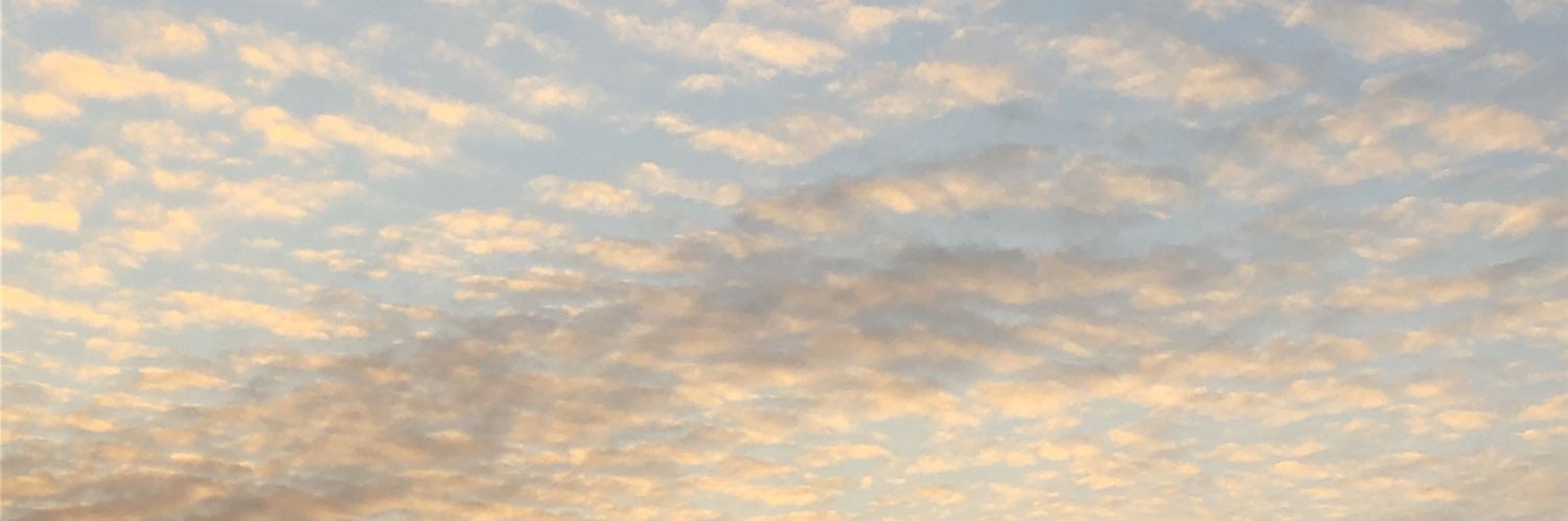 lauruberto's profile banner image