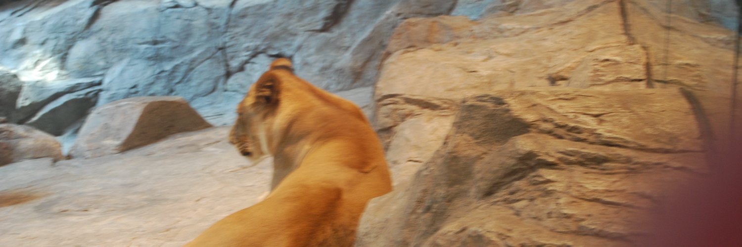 teddytum's profile banner image