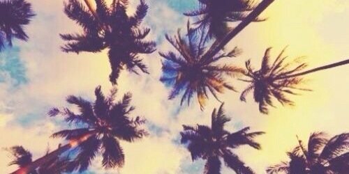mrsbossbailey's profile banner image