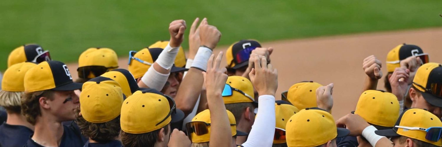 Grand Ledge Baseball banner