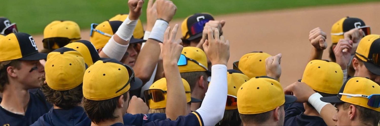 BASEBALLGL's profile banner image