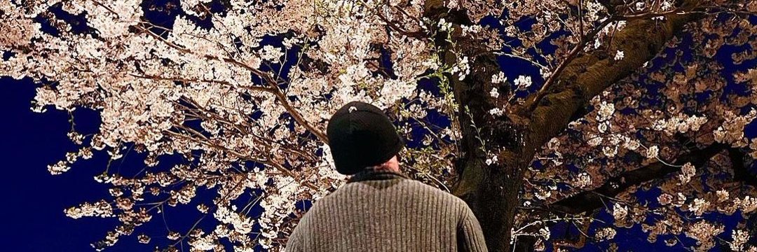 ochictea's profile banner image