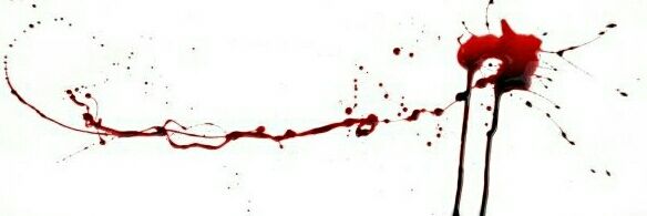 LetyAlbicocca's profile banner image