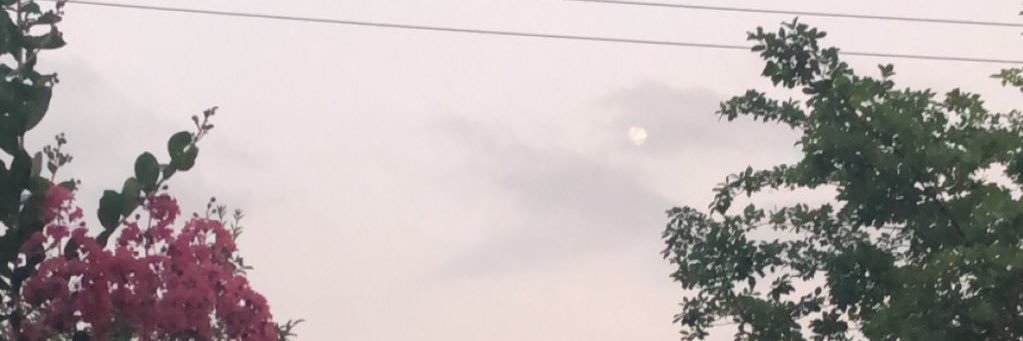 cho__aiden's profile banner image