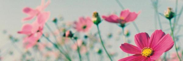 MBaesjou Profile Banner