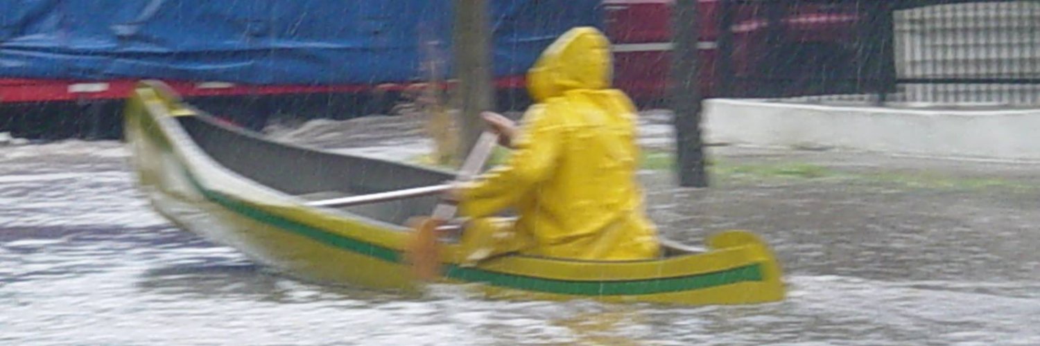 Veronica Sabbatini banner