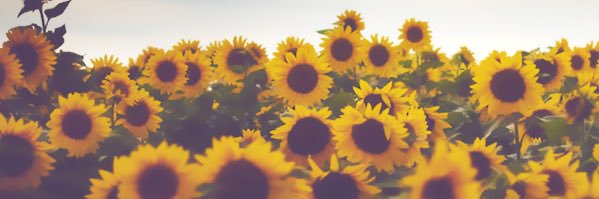 Shakeemah_'s profile banner image