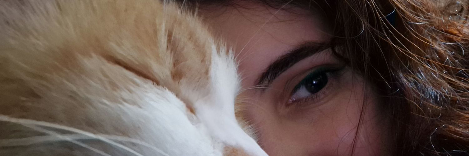 Chachou1311's profile banner image