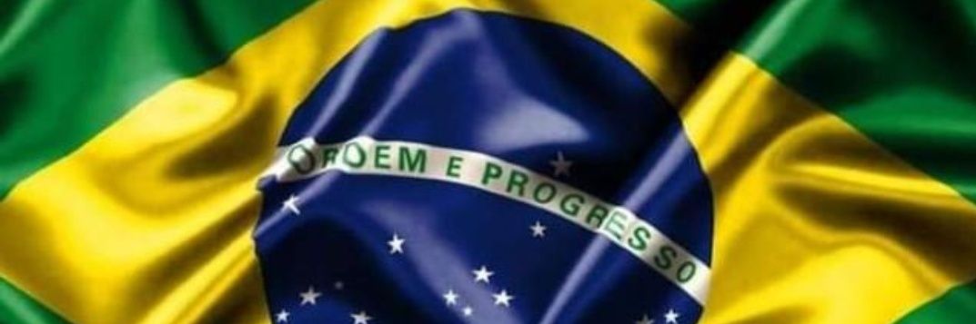 🇧🇷 Ricardo G. Junior #DEFENDA O BRASIL DO PT#🎯's banner