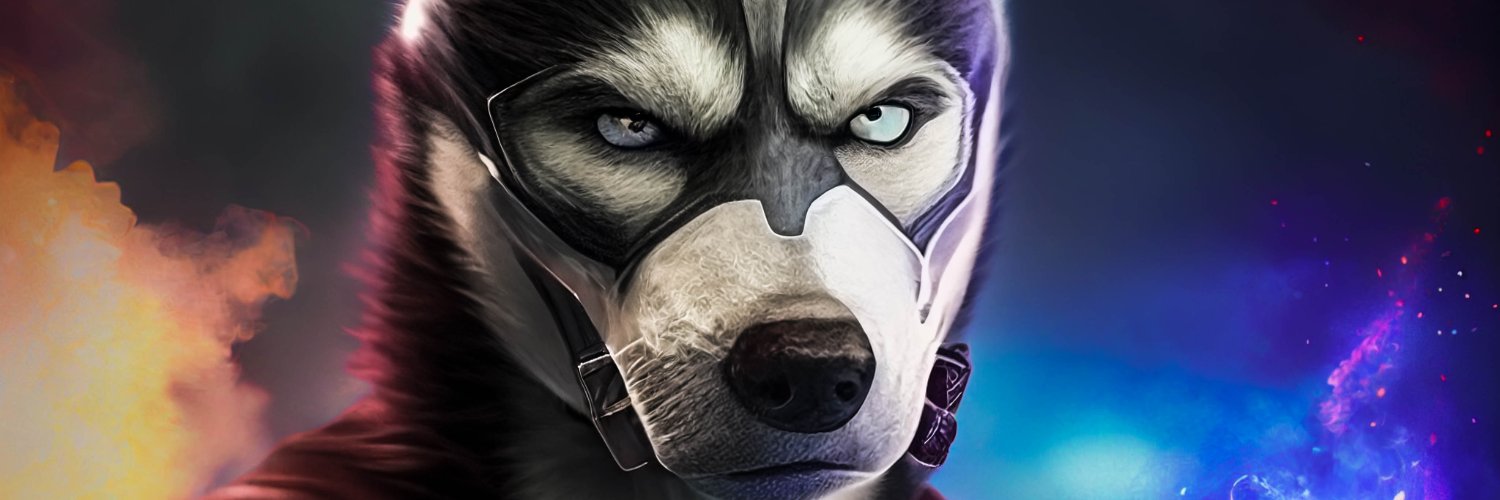 BraxHusky's profile banner image