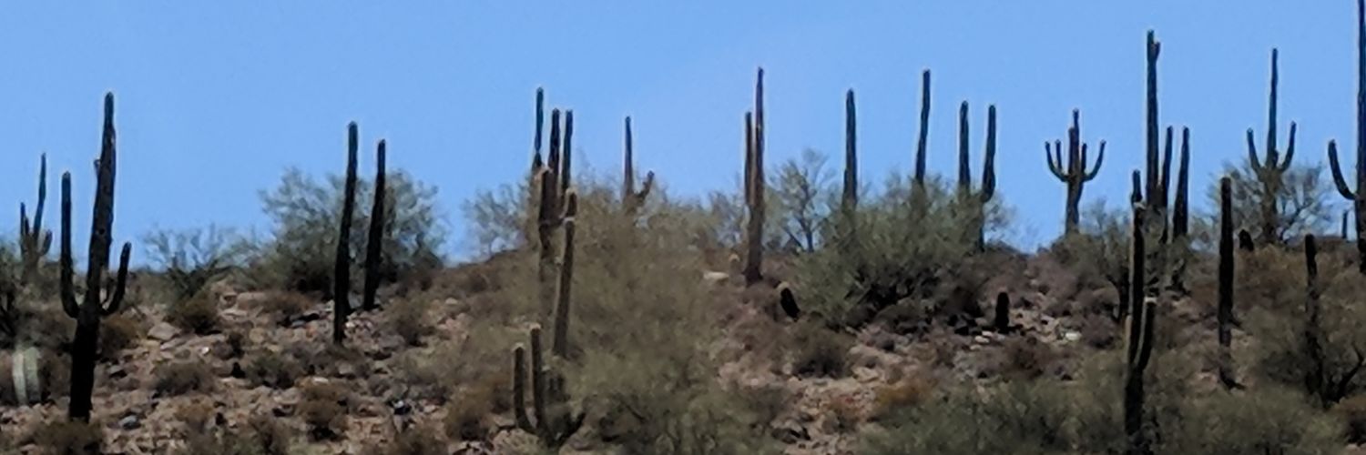 rsullrich's profile banner image
