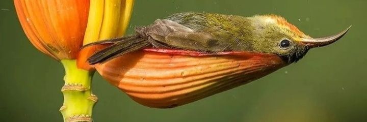 MomHor's profile banner image