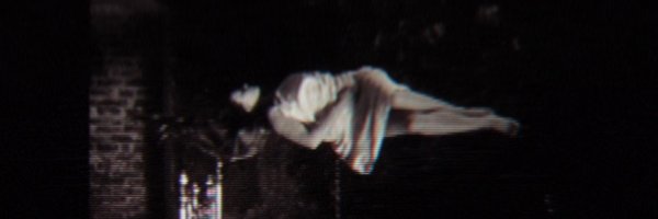 paleseas Profile Banner