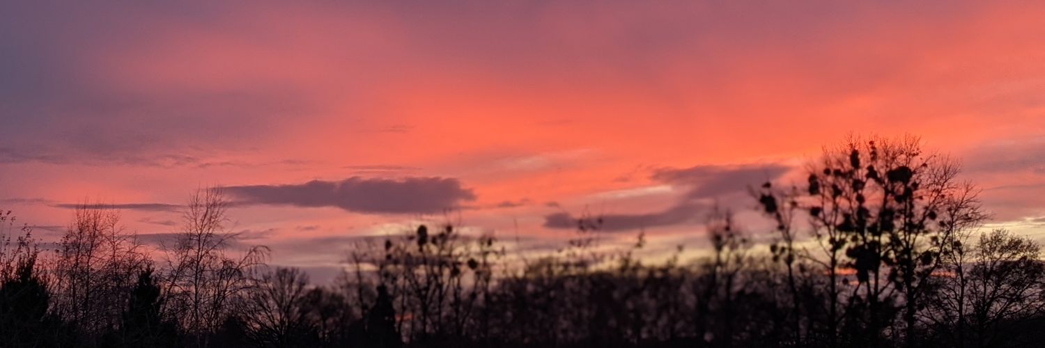░░░░░░░░░░ banner