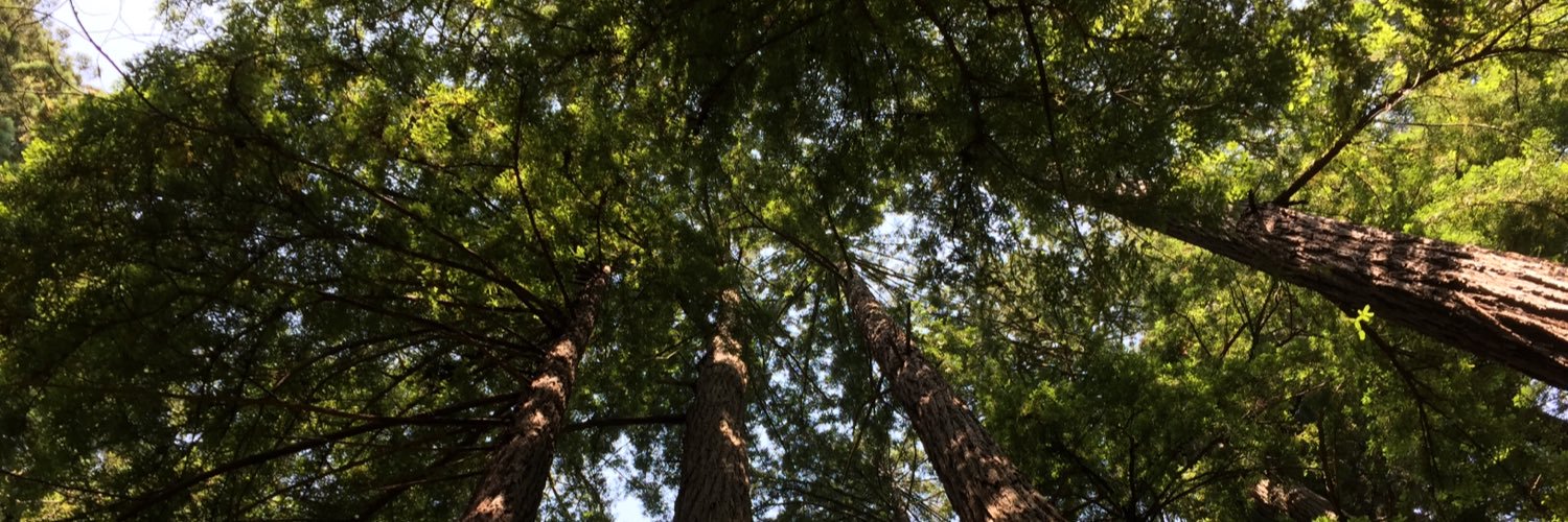 _vivalakecey_'s profile banner image