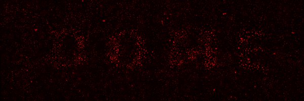 neshika_w Profile Banner