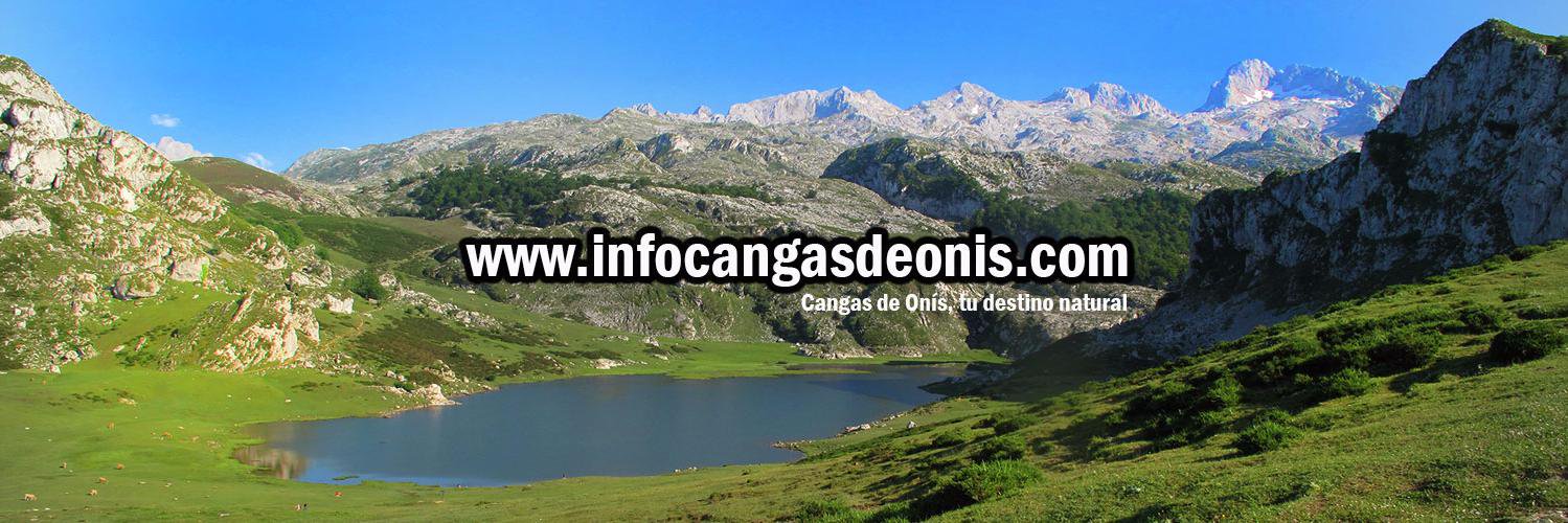 Cangas de Onis banner