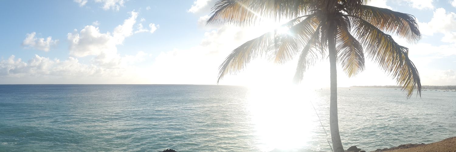 MAlleyne's profile banner image