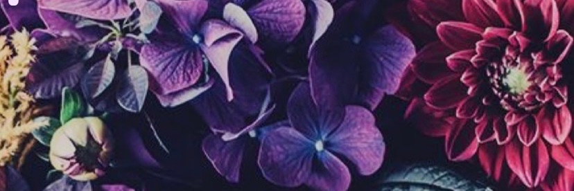 JennaeArnold's profile banner image