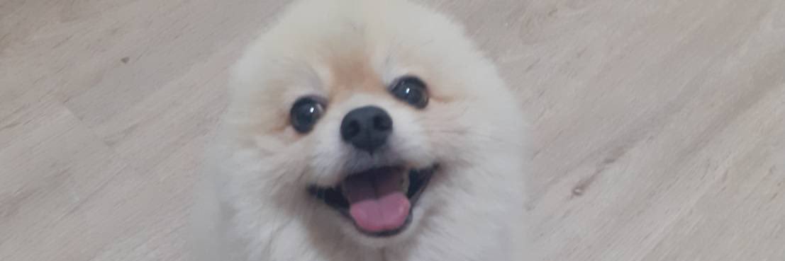 catty_zi's profile banner image