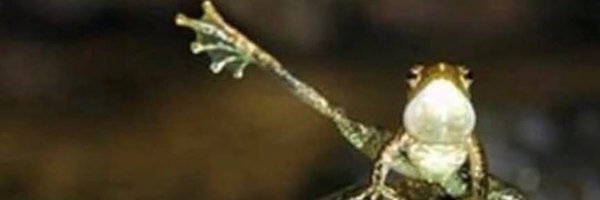 looongleggs Profile Banner