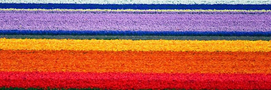 ZonkerDA's profile banner image