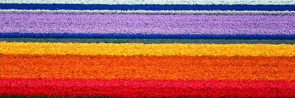 ZonkerDA Profile Banner