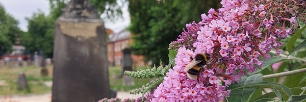 Cem_Res Profile Banner