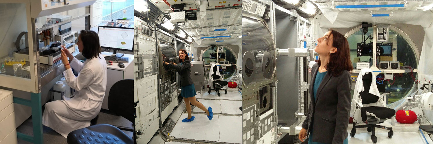 Nieves Cubo Mateo banner