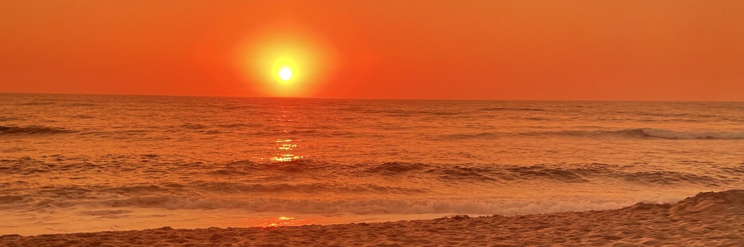 carolfid_'s profile banner image