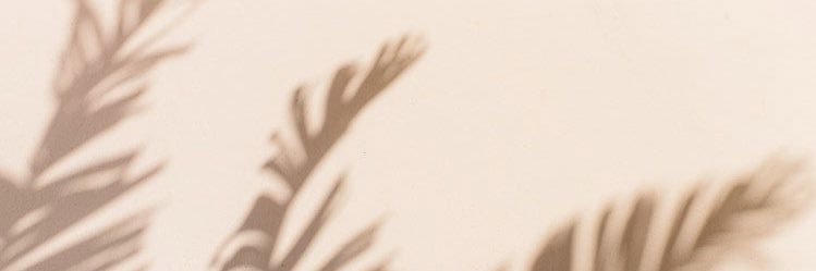 aranza_ht's profile banner image