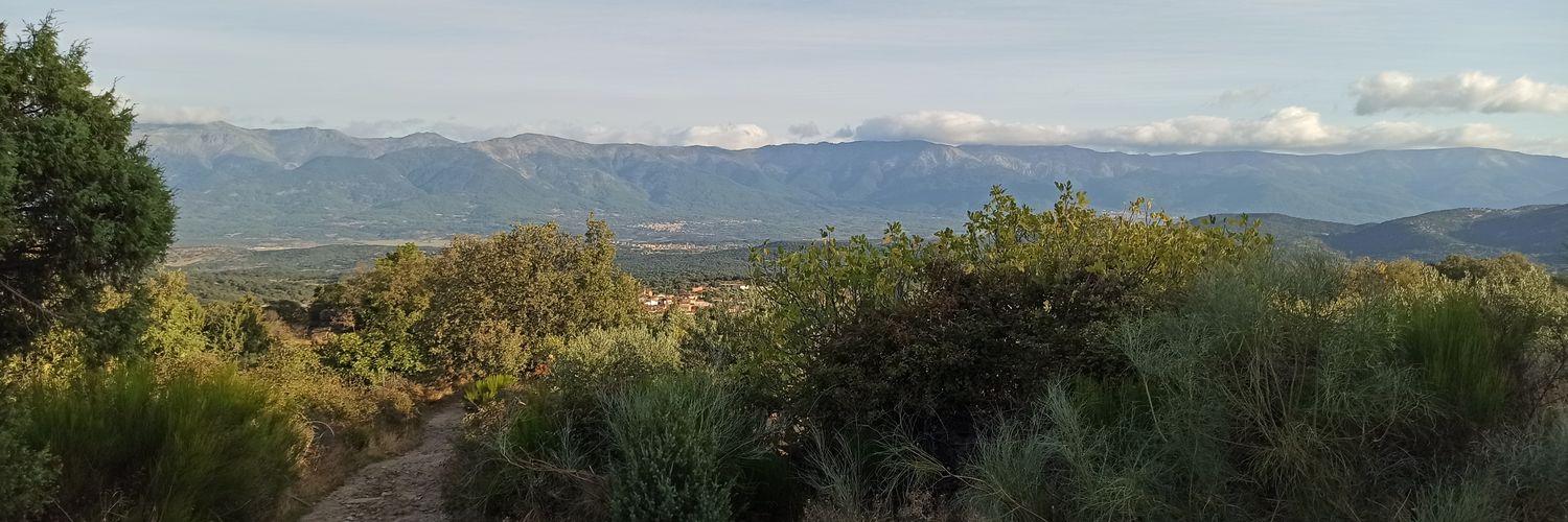 RodriguezGDavid's profile banner image