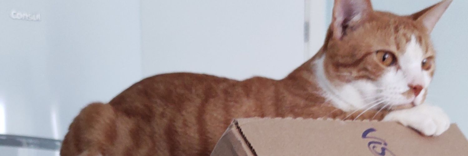 bzzzuchi's profile banner image