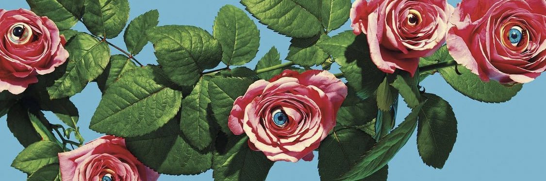 melopepopo's profile banner image