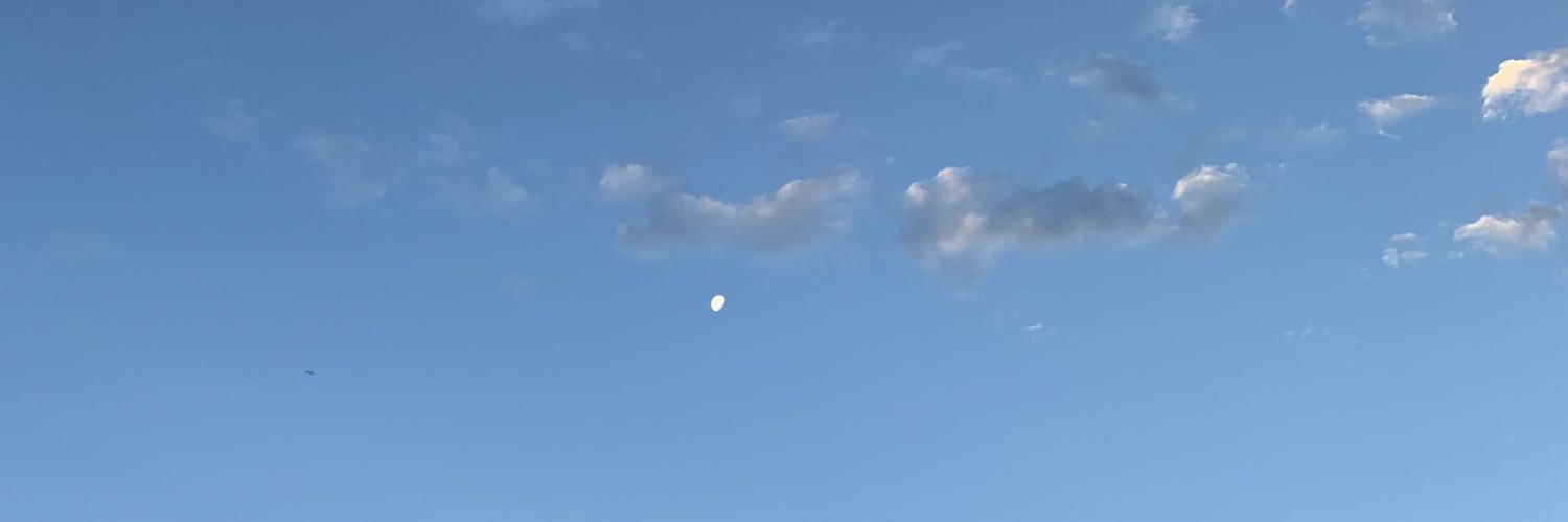 sofibortolon's profile banner image