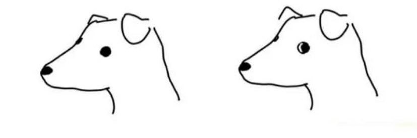 davidleexo's profile banner image