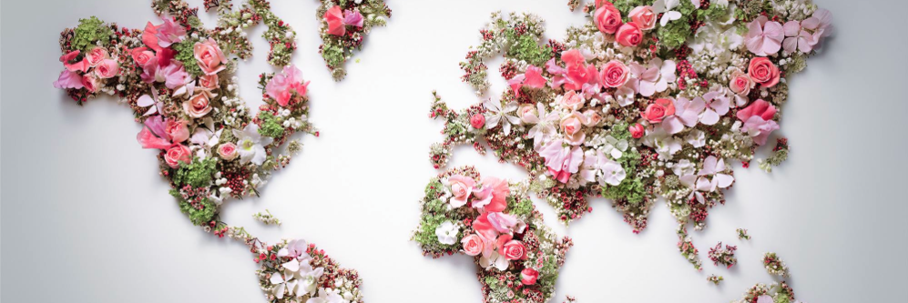roselinsgro's profile banner image