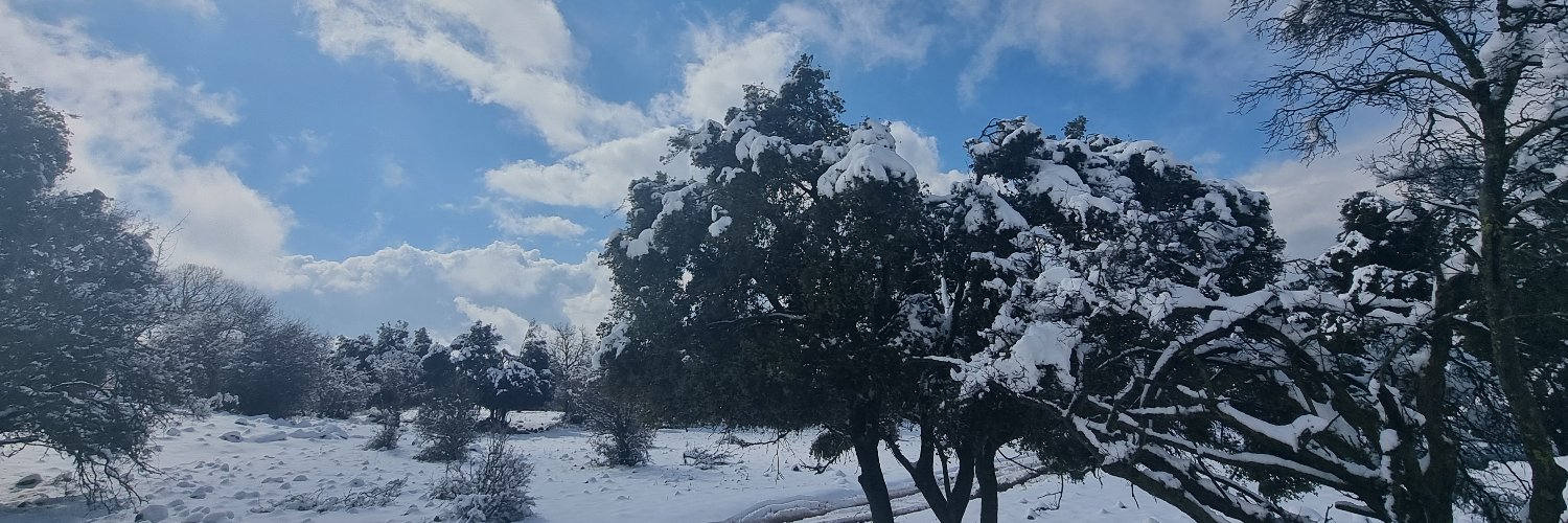 bill_tipesh's profile banner image