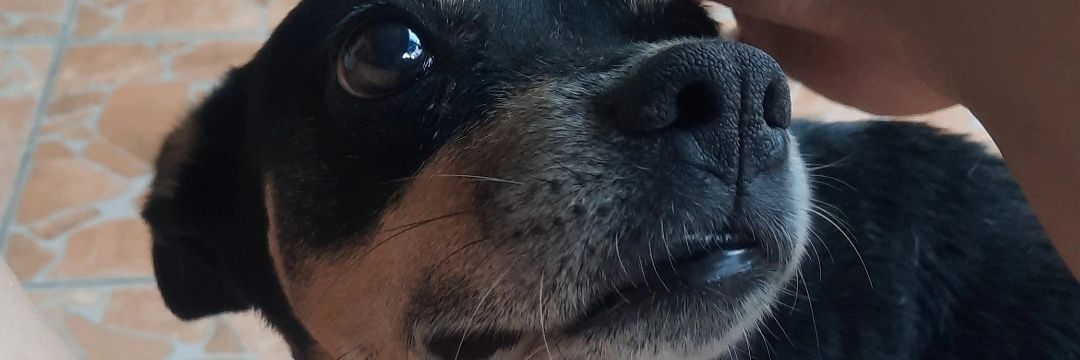 sofi_chag's profile banner image