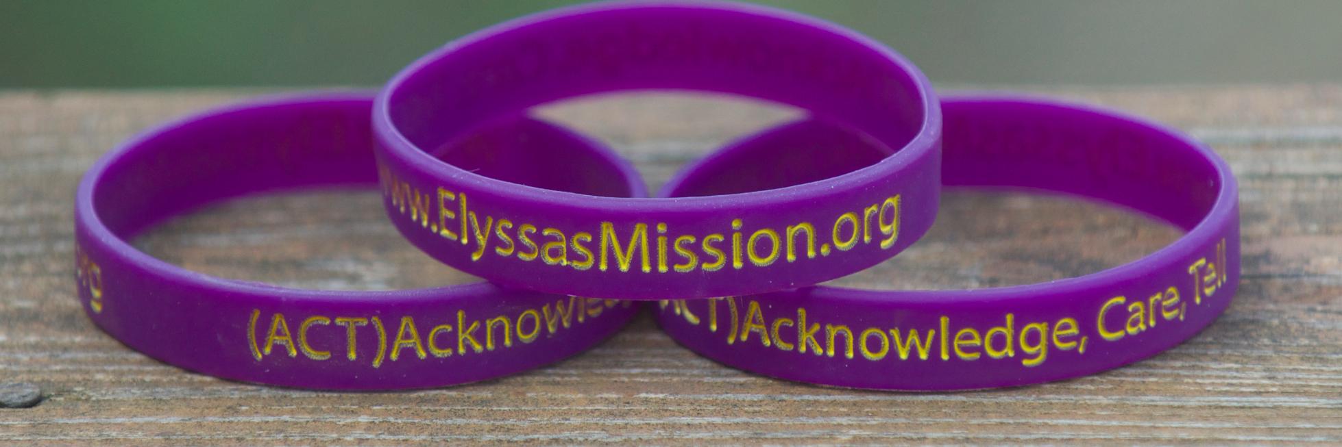 Elyssa's Mission banner