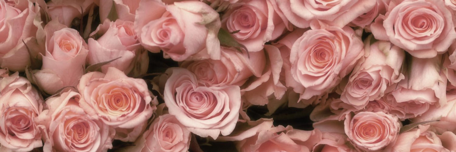 LCarranza13's profile banner image
