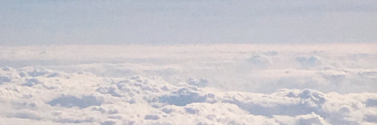 rubyseresin's profile banner image
