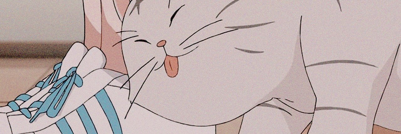 midoriyasboy's profile banner image