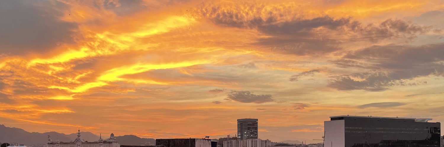 feitosalinee's profile banner image