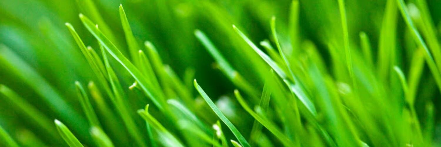 chemajf's profile banner image
