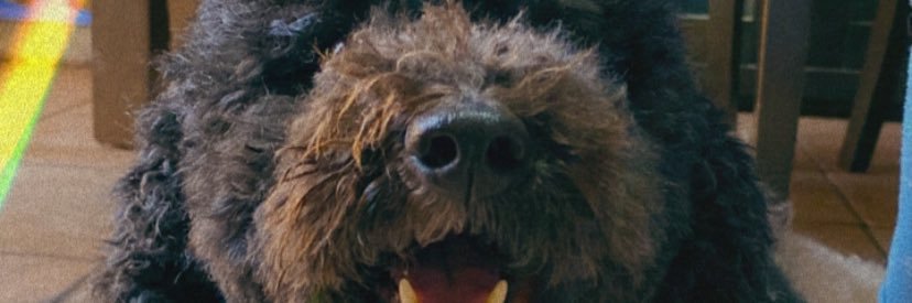 maitegodoy_'s profile banner image