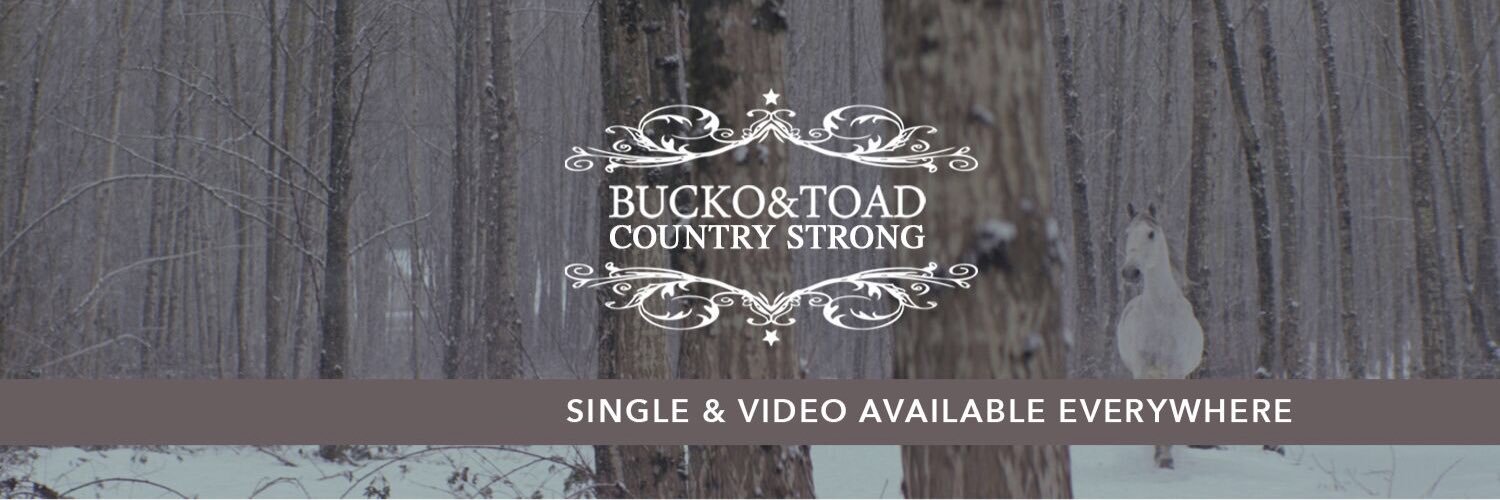Bucko & Toad banner