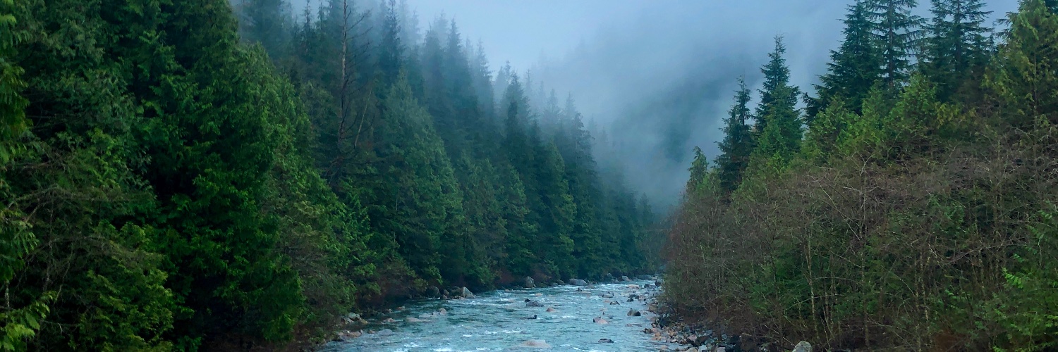 Patrick C. Lalonde, Ph.D. banner