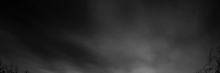 mrxnx's profile banner image